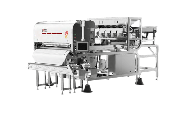 Stainless steel belt color sorter for pepper